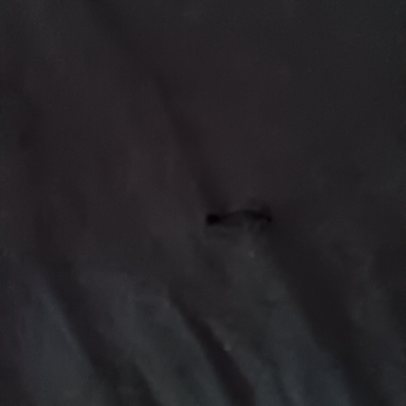 Full Sail University Skull Headphones Be Creative Florida Graphic Tee - Picture 5 of 5